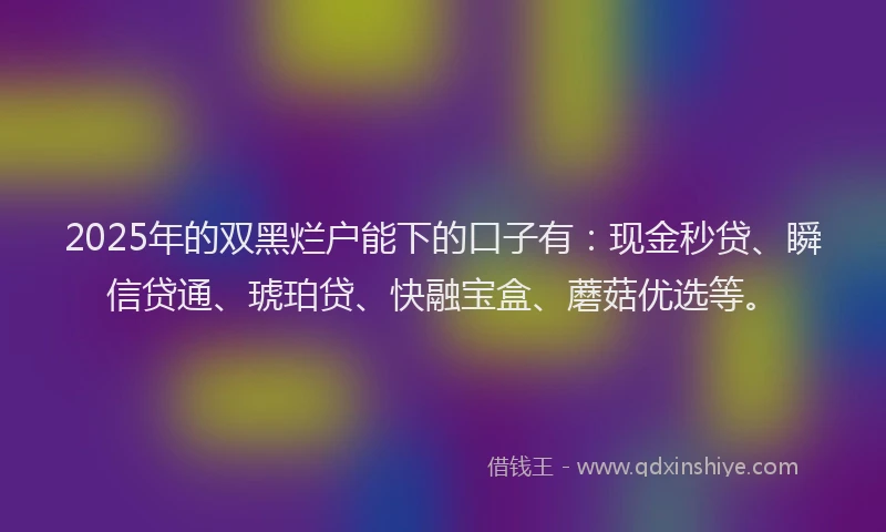 2025年的双黑烂户能下的口子有：现金秒贷、瞬信贷通、琥珀贷、快融宝盒、蘑菇优选等。