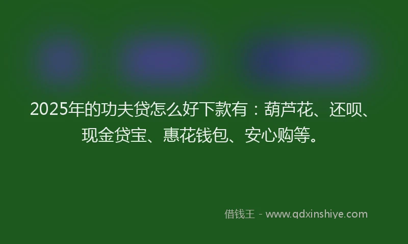 2025年的功夫贷怎么好下款有：葫芦花、还呗、现金贷宝、惠花钱包、安心购等。