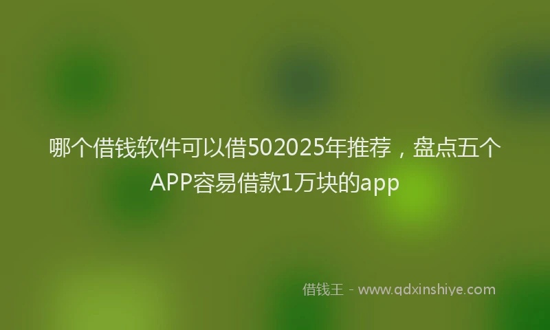 哪个借钱软件可以借502025年推荐，盘点五个APP容易借款1万块的app