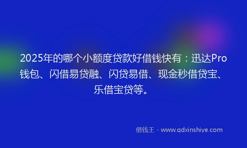 2025年的哪个小额度贷款好借钱快有：迅达Pro钱包、闪借易贷融、闪贷易借、现金秒借贷宝、乐借宝贷等。