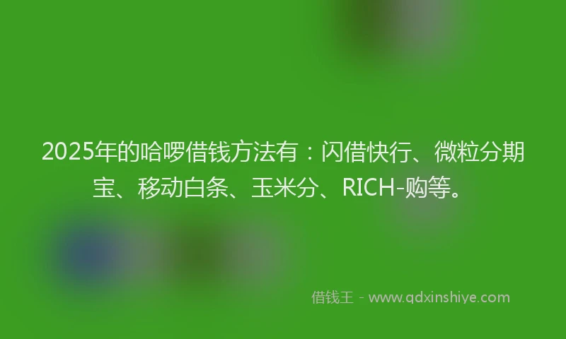 2025年的哈啰借钱方法有：闪借快行、微粒分期宝、移动白条、玉米分、RICH-购等。