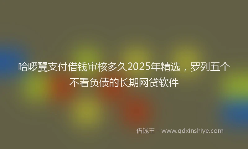 哈啰翼支付借钱审核多久2025年精选，罗列五个不看负债的长期网贷软件
