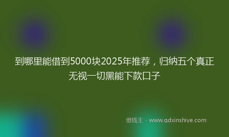到哪里能借到5000块2025年推荐，归纳五个真正无视一切黑能下款口子