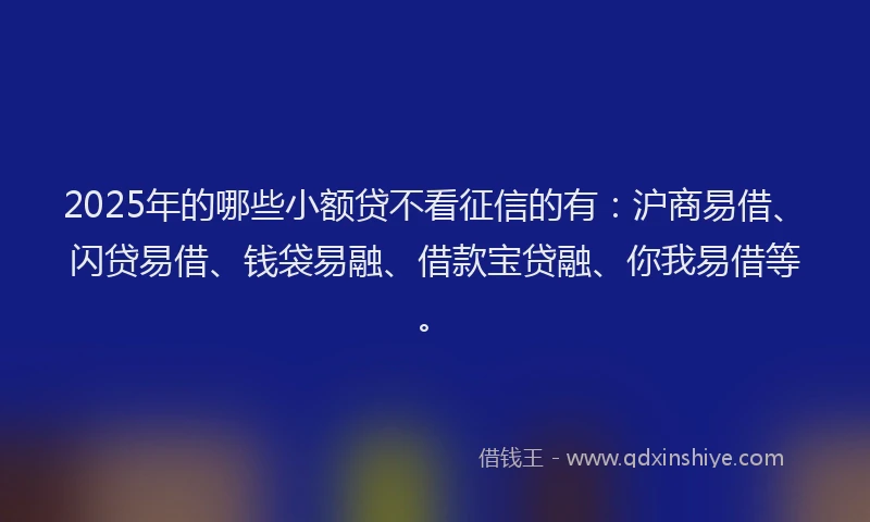 2025年的哪些小额贷不看征信的有：沪商易借、闪贷易借、钱袋易融、借款宝贷融、你我易借等。