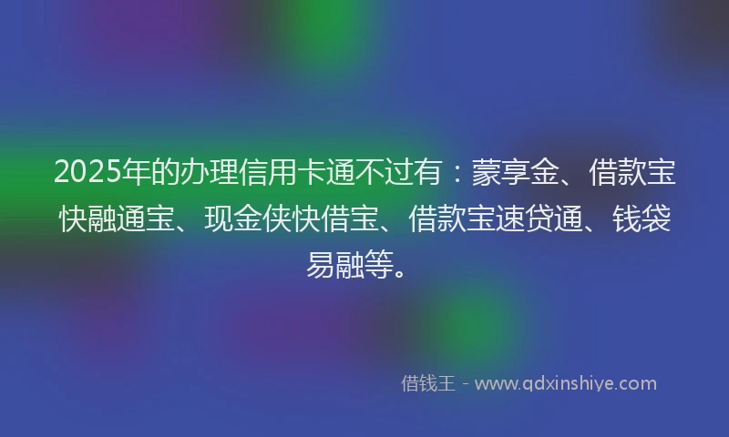 2025年的办理信用卡通不过有：蒙享金、借款宝快融通宝、现金侠快借宝、借款宝速贷通、钱袋易融等。
