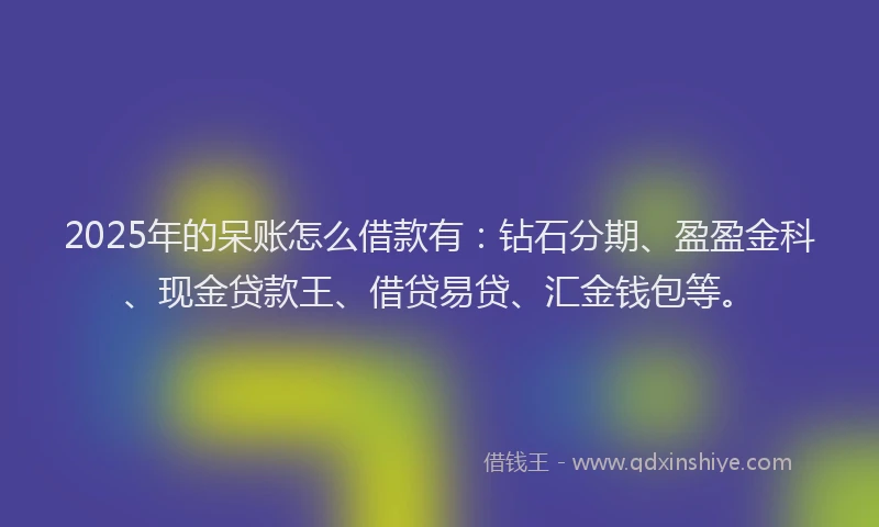 2025年的呆账怎么借款有：钻石分期、盈盈金科、现金贷款王、借贷易贷、汇金钱包等。