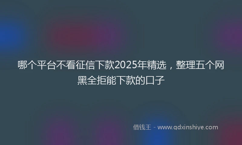 哪个平台不看征信下款2025年精选，整理五个网黑全拒能下款的口子