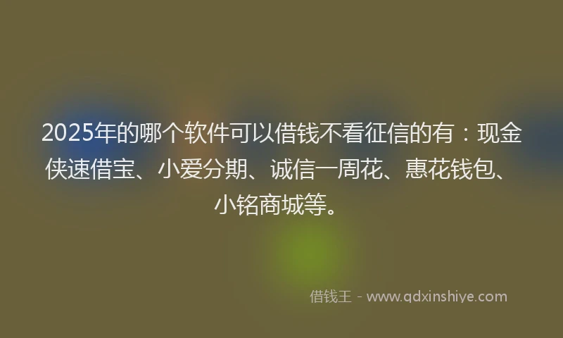 2025年的哪个软件可以借钱不看征信的有：现金侠速借宝、小爱分期、诚信一周花、惠花钱包、小铭商城等。