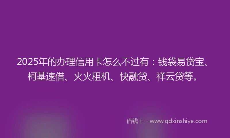 2025年的办理信用卡怎么不过有：钱袋易贷宝、柯基速借、火火租机、快融贷、祥云贷等。