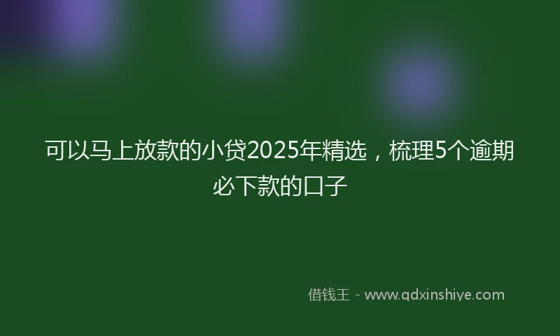 可以马上放款的小贷2025年精选，梳理5个逾期必下款的口子
