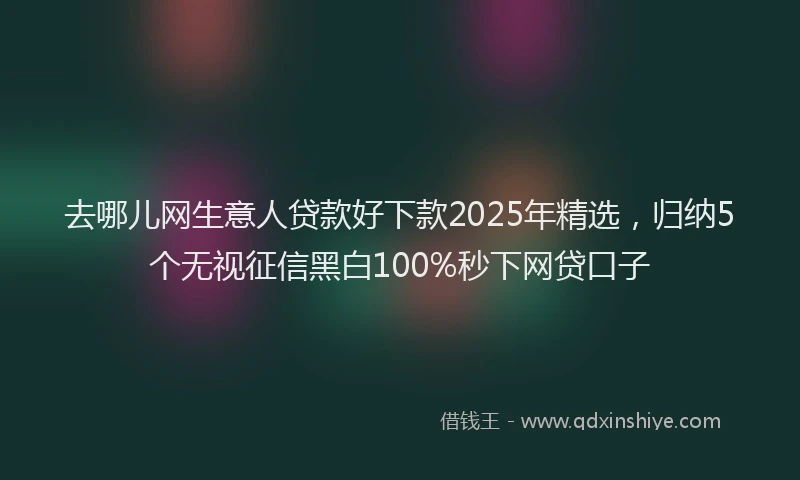 去哪儿网生意人贷款好下款2025年精选，归纳5个无视征信黑白100%秒下网贷口子