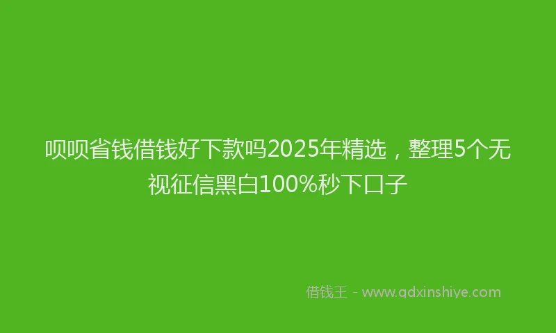 呗呗省钱借钱好下款吗2025年精选，整理5个无视征信黑白100%秒下口子
