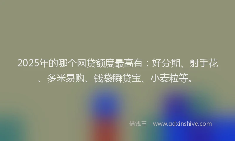 2025年的哪个网贷额度最高有：好分期、射手花、多米易购、钱袋瞬贷宝、小麦粒等。