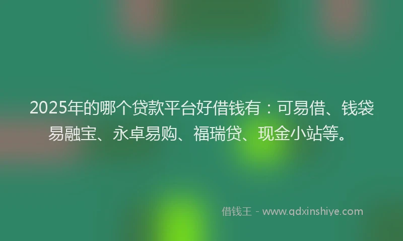 2025年的哪个贷款平台好借钱有：可易借、钱袋易融宝、永卓易购、福瑞贷、现金小站等。