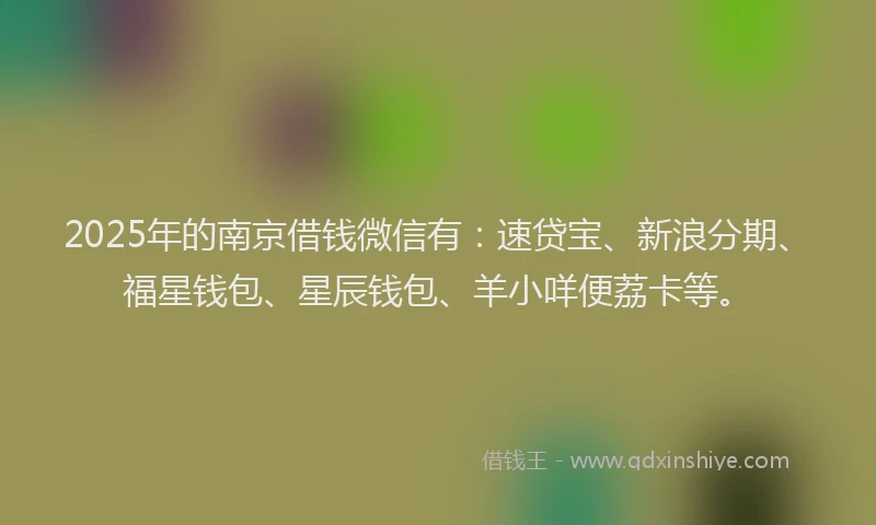 2025年的南京借钱微信有：速贷宝、新浪分期、福星钱包、星辰钱包、羊小咩便荔卡等。
