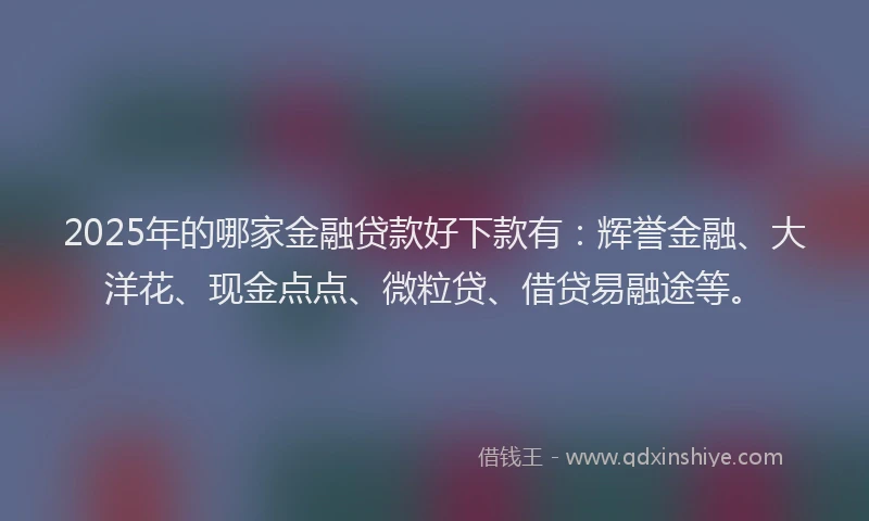 2025年的哪家金融贷款好下款有：辉誉金融、大洋花、现金点点、微粒贷、借贷易融途等。