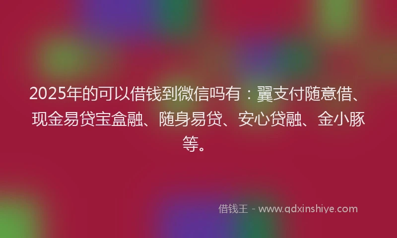 2025年的可以借钱到微信吗有：翼支付随意借、现金易贷宝盒融、随身易贷、安心贷融、金小豚等。
