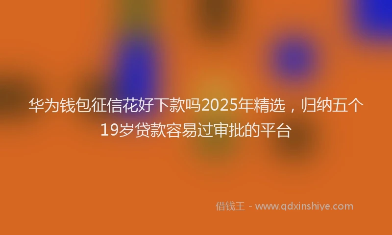 华为钱包征信花好下款吗2025年精选，归纳五个19岁贷款容易过审批的平台