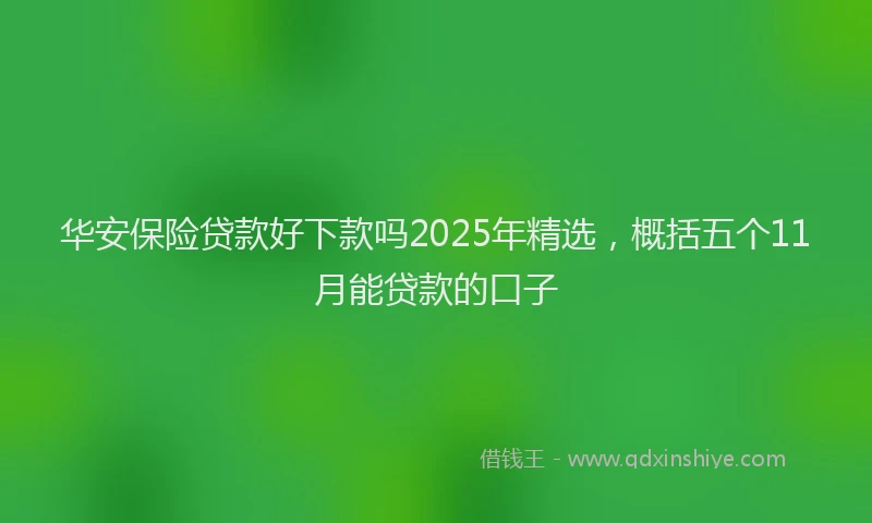 华安保险贷款好下款吗2025年精选，概括五个11月能贷款的口子