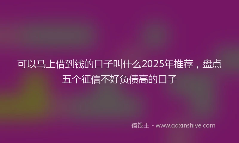 可以马上借到钱的口子叫什么2025年推荐，盘点五个征信不好负债高的口子