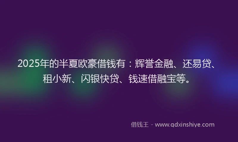 2025年的半夏欧豪借钱有：辉誉金融、还易贷、租小新、闪银快贷、钱速借融宝等。