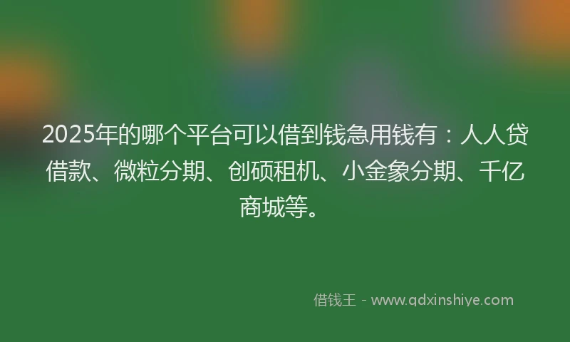 2025年的哪个平台可以借到钱急用钱有：人人贷借款、微粒分期、创硕租机、小金象分期、千亿商城等。
