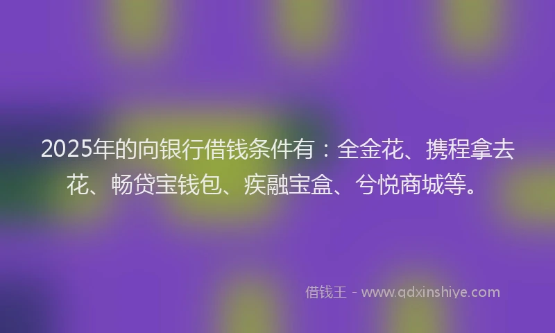 2025年的向银行借钱条件有：全金花、携程拿去花、畅贷宝钱包、疾融宝盒、兮悦商城等。