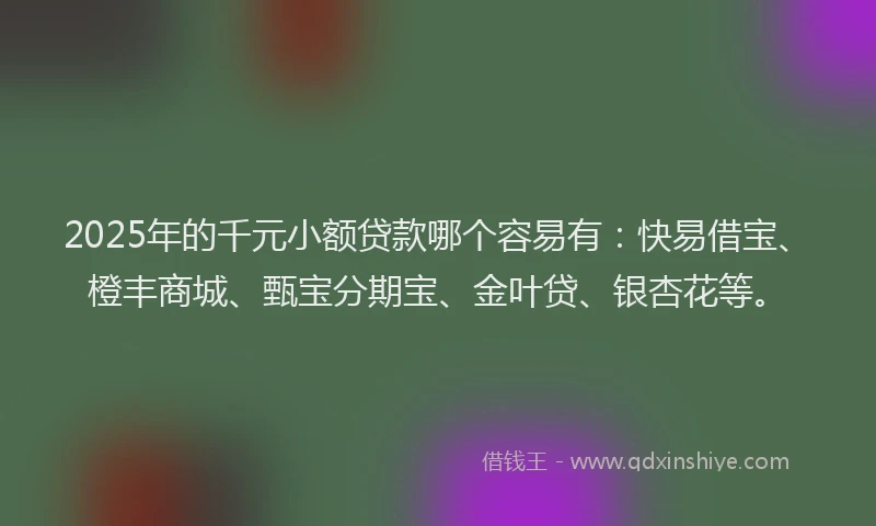 2025年的千元小额贷款哪个容易有：快易借宝、橙丰商城、甄宝分期宝、金叶贷、银杏花等。