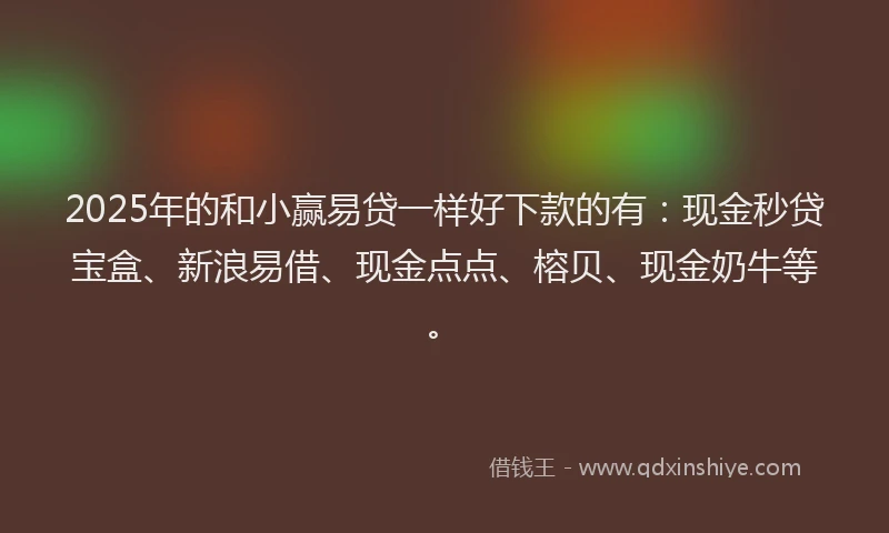 2025年的和小赢易贷一样好下款的有：现金秒贷宝盒、新浪易借、现金点点、榕贝、现金奶牛等。