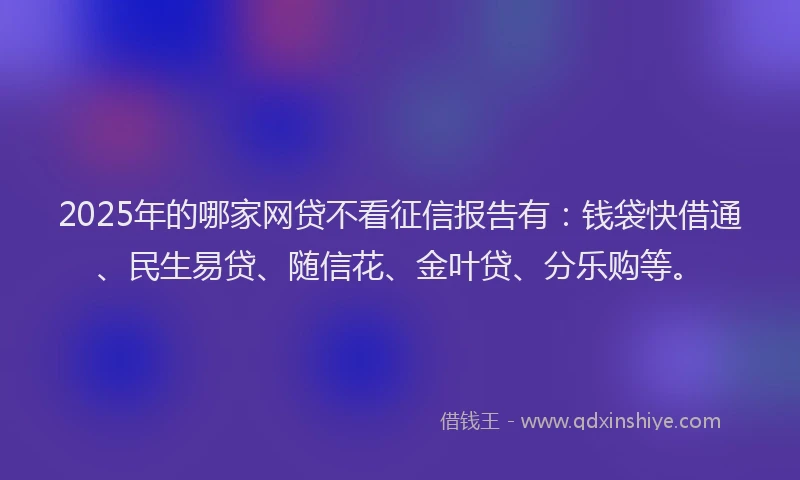 2025年的哪家网贷不看征信报告有：钱袋快借通、民生易贷、随信花、金叶贷、分乐购等。