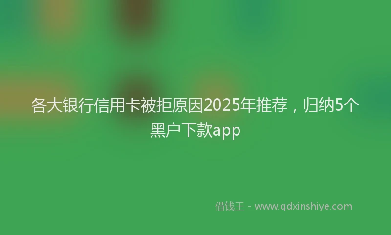 各大银行信用卡被拒原因2025年推荐，归纳5个黑户下款app