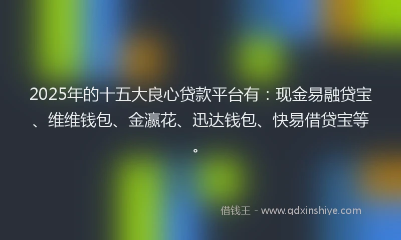 2025年的十五大良心贷款平台有：现金易融贷宝、维维钱包、金瀛花、迅达钱包、快易借贷宝等。