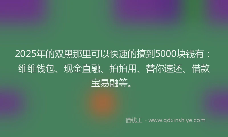 2025年的双黑那里可以快速的搞到5000块钱有：维维钱包、现金直融、拍拍用、替你速还、借款宝易融等。