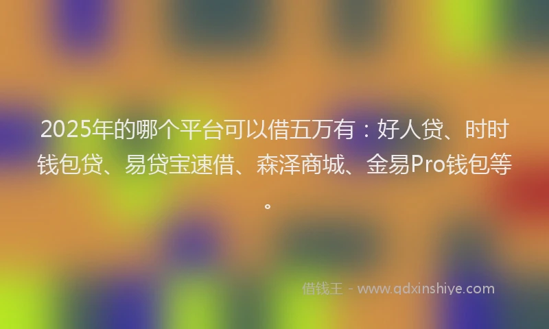 2025年的哪个平台可以借五万有：好人贷、时时钱包贷、易贷宝速借、森泽商城、金易Pro钱包等。