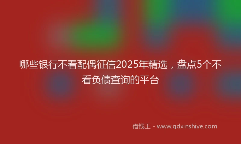 哪些银行不看配偶征信2025年精选，盘点5个不看负债查询的平台