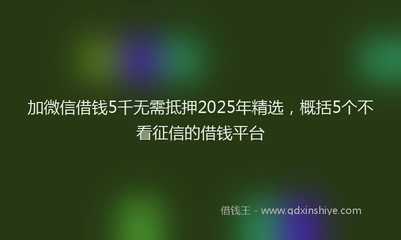 加微信借钱5千无需抵押2025年精选，概括5个不看征信的借钱平台