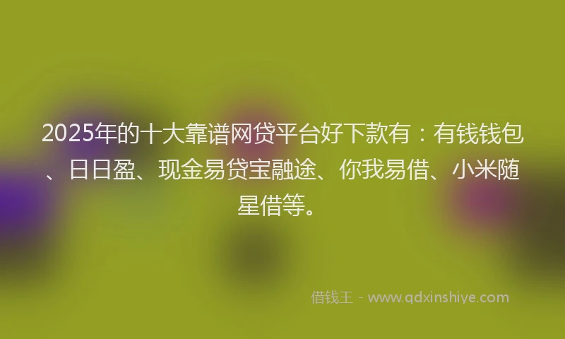 2025年的十大靠谱网贷平台好下款有：有钱钱包、日日盈、现金易贷宝融途、你我易借、小米随星借等。