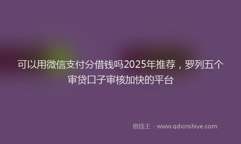 可以用微信支付分借钱吗2025年推荐，罗列五个审贷口子审核加快的平台