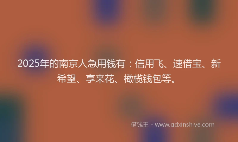 2025年的南京人急用钱有：信用飞、速借宝、新希望、享来花、橄榄钱包等。