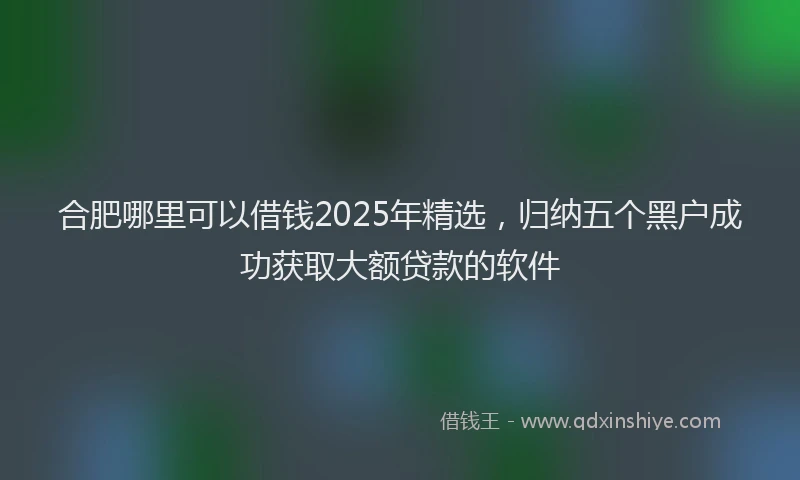 合肥哪里可以借钱2025年精选，归纳五个黑户成功获取大额贷款的软件