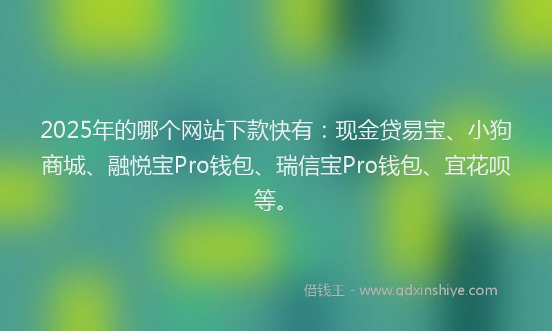 2025年的哪个网站下款快有：现金贷易宝、小狗商城、融悦宝Pro钱包、瑞信宝Pro钱包、宜花呗等。