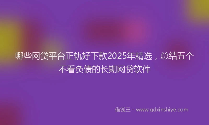 哪些网贷平台正轨好下款2025年精选，总结五个不看负债的长期网贷软件