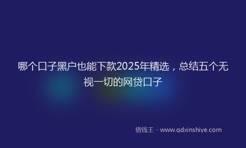 哪个口子黑户也能下款2025年精选，总结五个无视一切的网贷口子