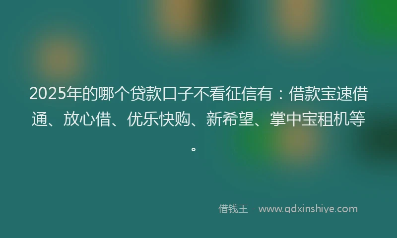 2025年的哪个贷款口子不看征信有：借款宝速借通、放心借、优乐快购、新希望、掌中宝租机等。