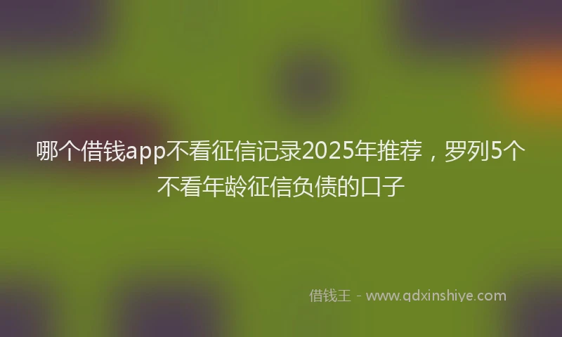 哪个借钱app不看征信记录2025年推荐，罗列5个不看年龄征信负债的口子