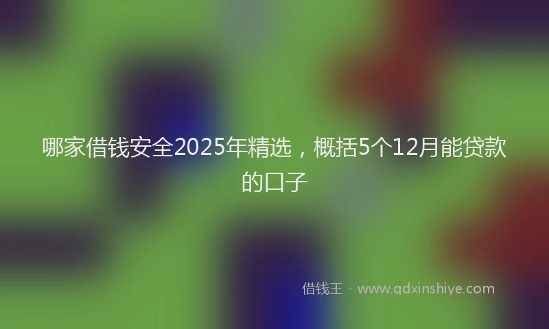 哪家借钱安全2025年精选，概括5个12月能贷款的口子