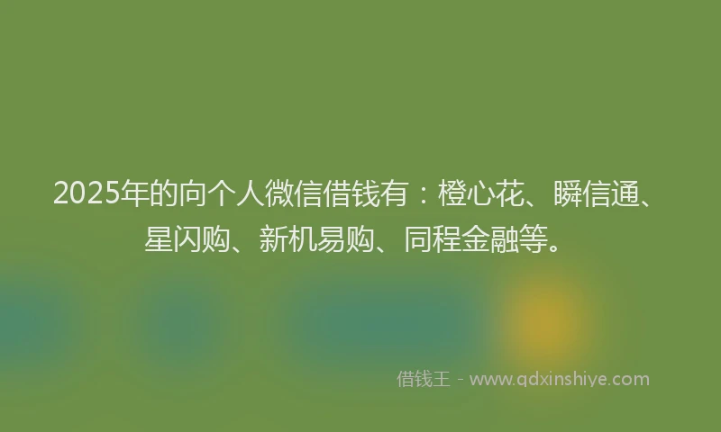 2025年的向个人微信借钱有：橙心花、瞬信通、星闪购、新机易购、同程金融等。