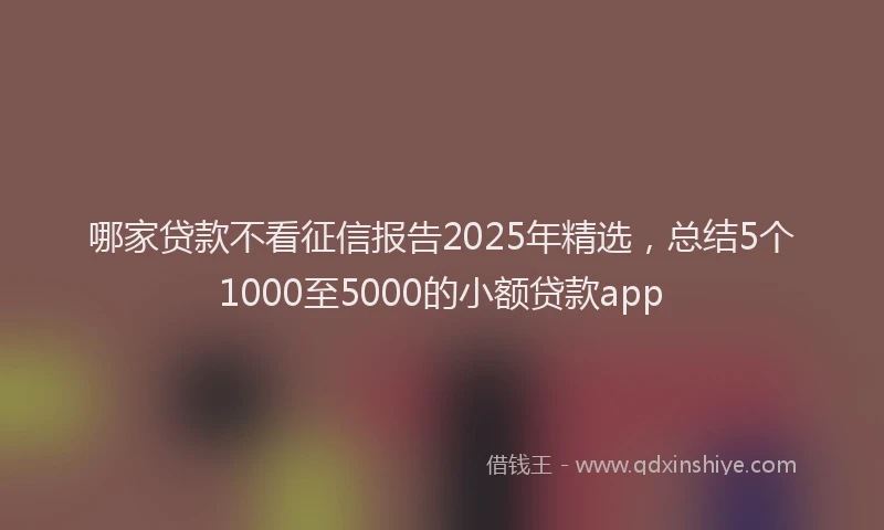 哪家贷款不看征信报告2025年精选，总结5个1000至5000的小额贷款app
