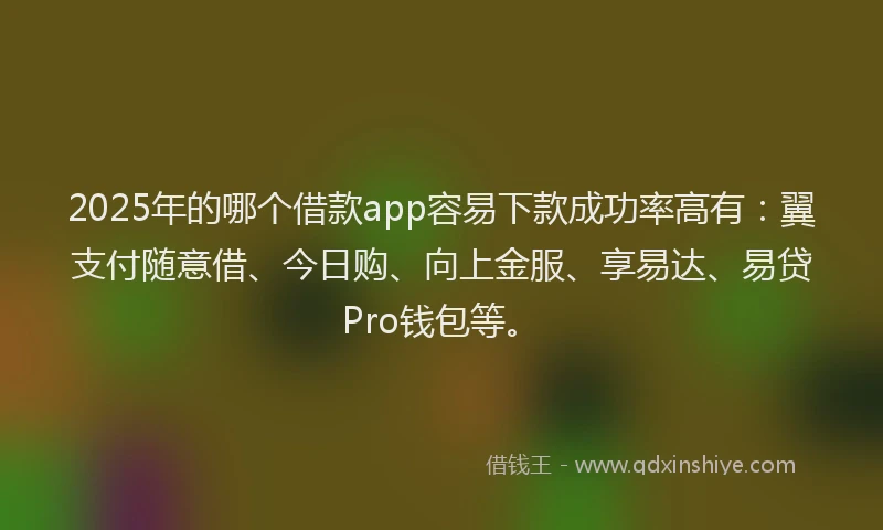 2025年的哪个借款app容易下款成功率高有：翼支付随意借、今日购、向上金服、享易达、易贷Pro钱包等。