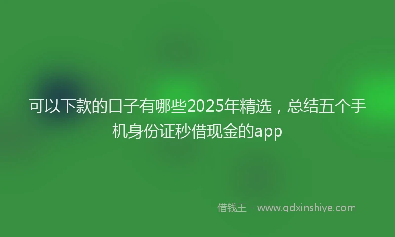 可以下款的口子有哪些2025年精选，总结五个手机身份证秒借现金的app